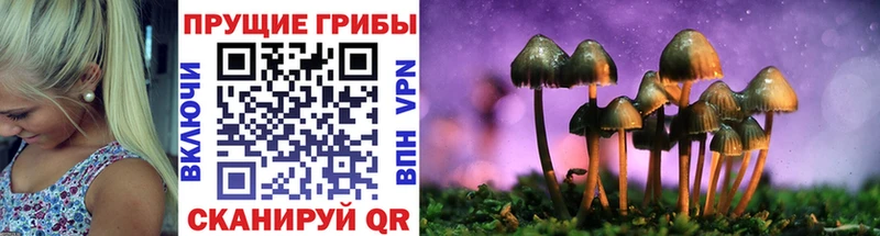 Галлюциногенные грибы мухоморы Далматово