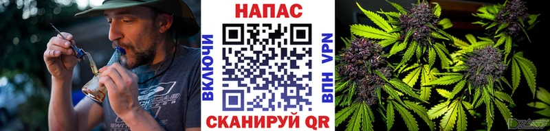 МАРИХУАНА гибрид  Купить  Далматово 